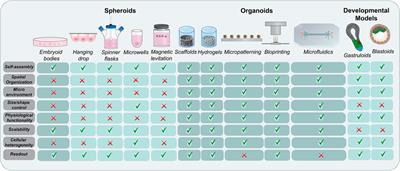 Home Away From Home: Bioengineering Advancements to Mimic the Developmental and Adult Stem Cell Niche